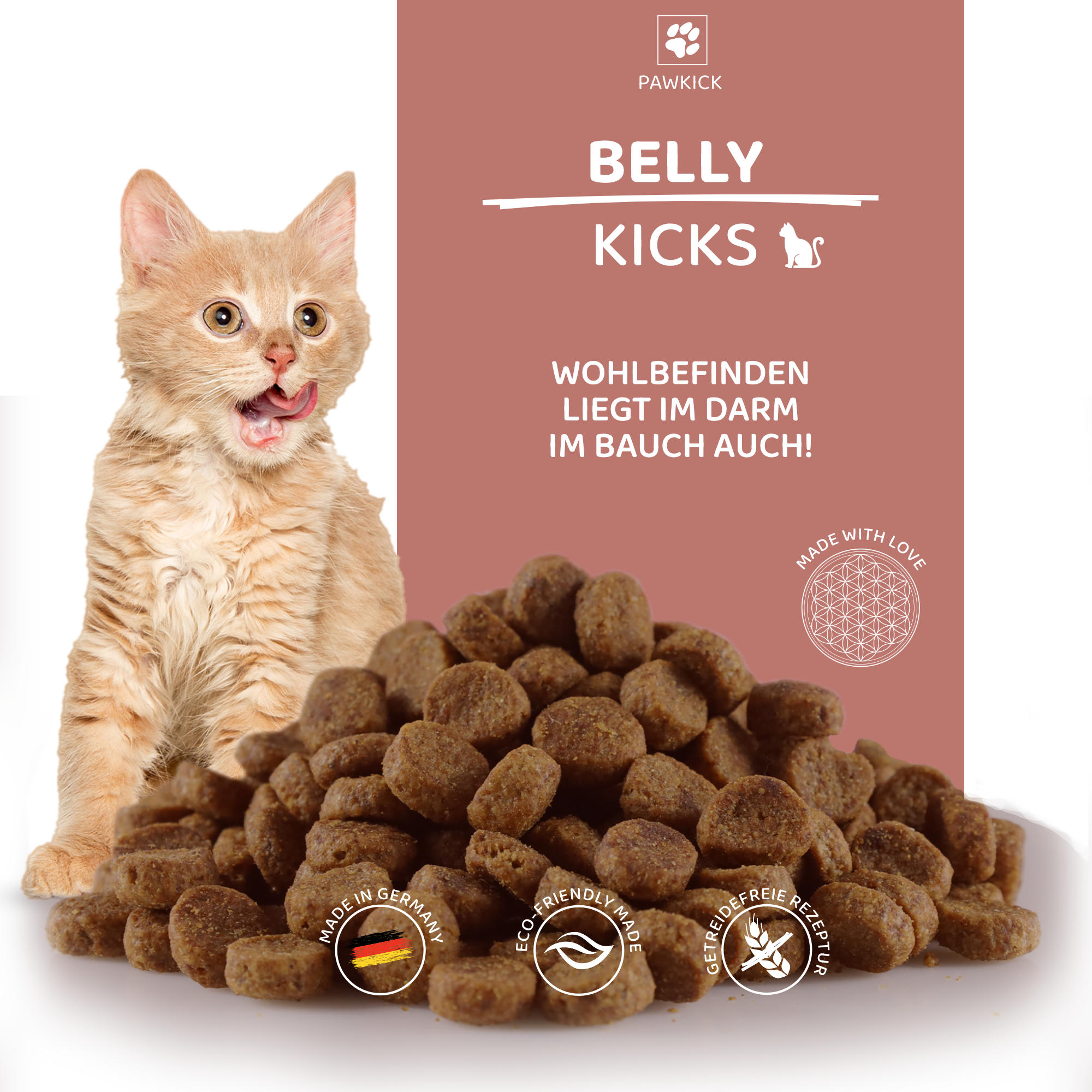 BELLY-KICKS CAT