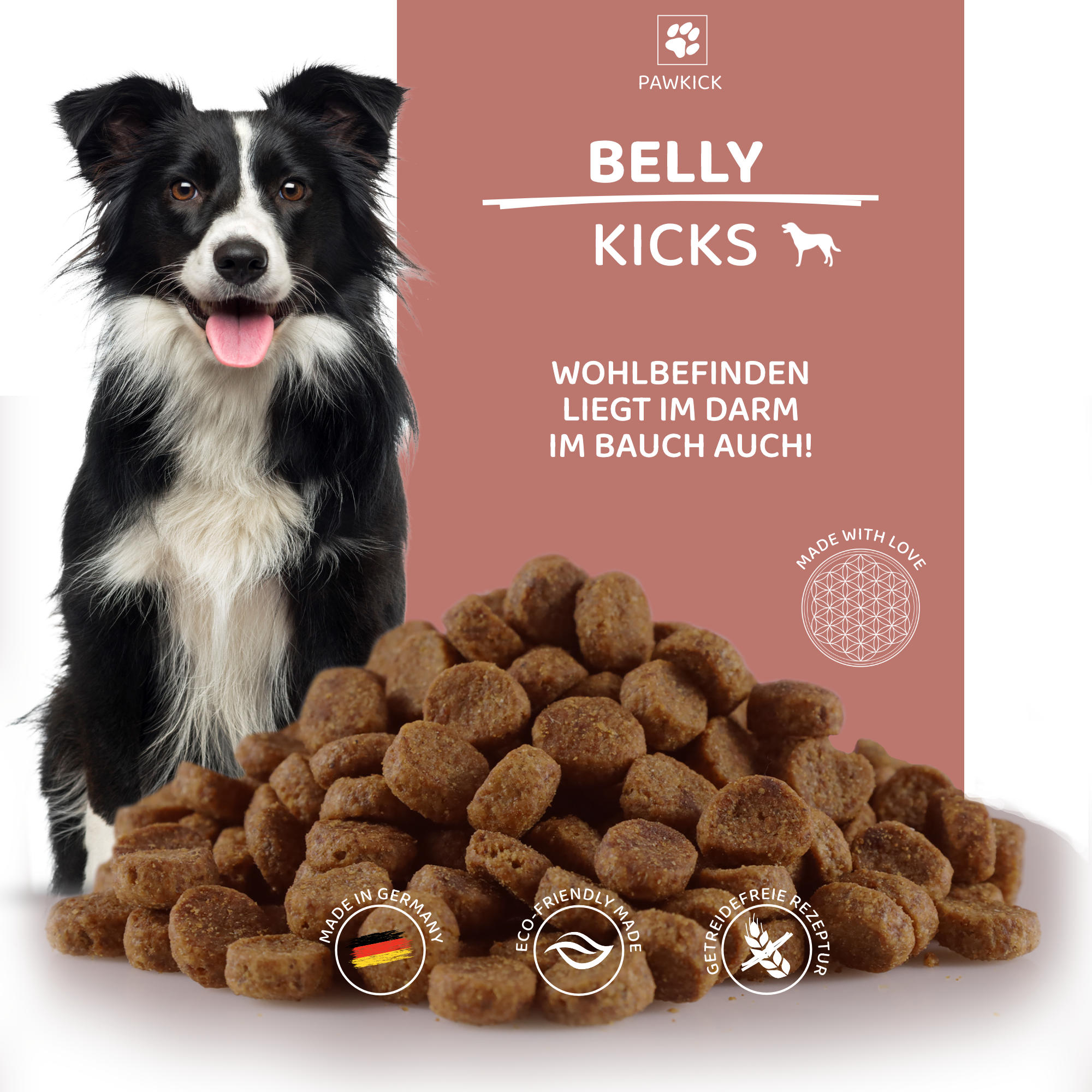 BELLY-KICKS DOG