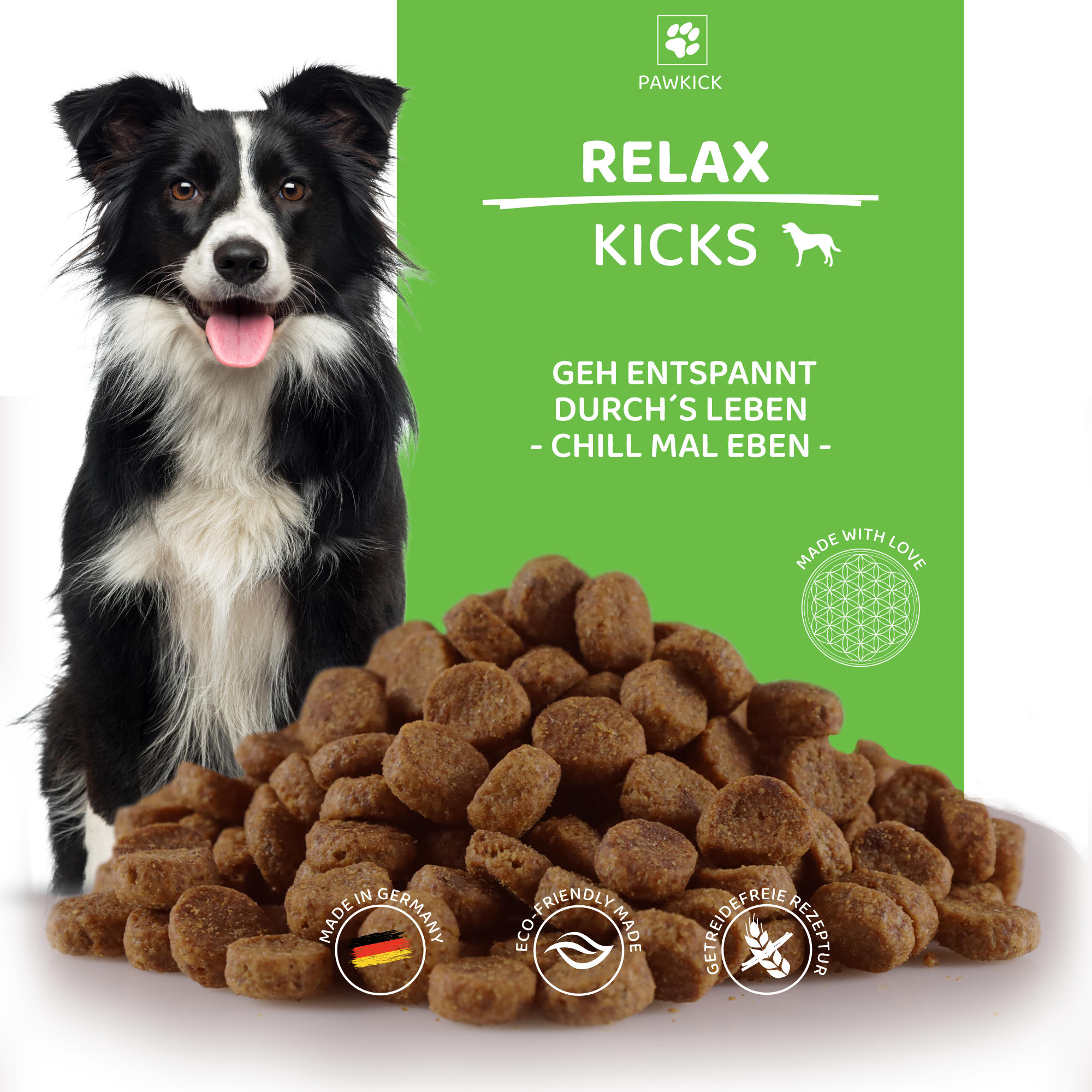 RELAX-KICKS DOG