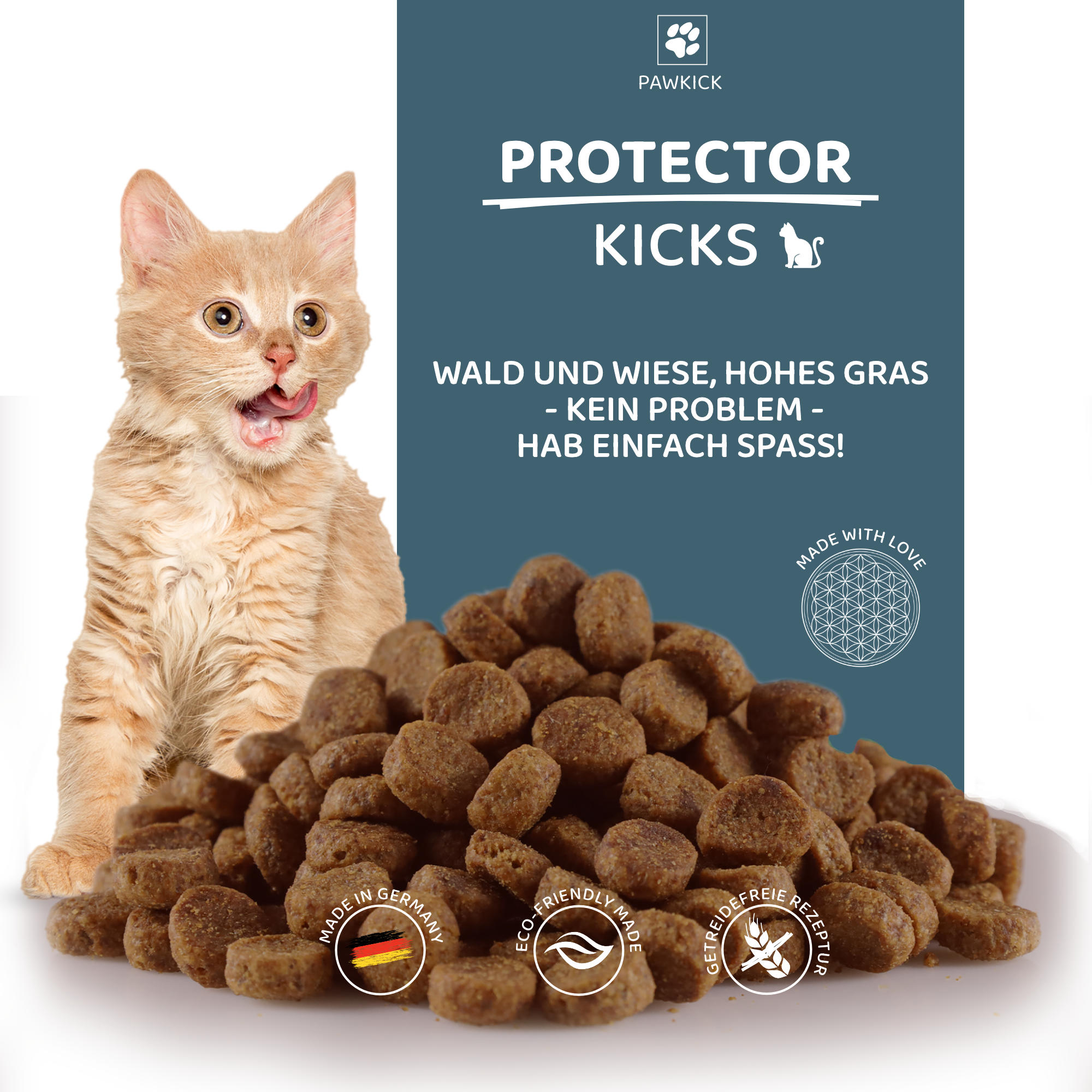 PROTECTOR-KICKS CAT